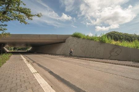 Zielony most w Zwaluwenberg - zdjęcie: NOEplast_NL_Ecoduct_Zwaluwenberg_2.jpg