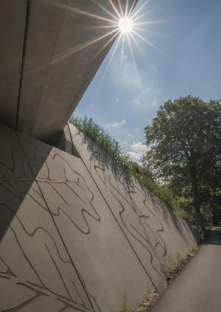 Zielony most w Zwaluwenberg - zdjęcie: NOEplast_NL_Ecoduct_Zwaluwenberg_4.jpg